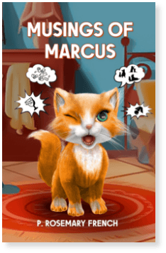 Book Writing Experts