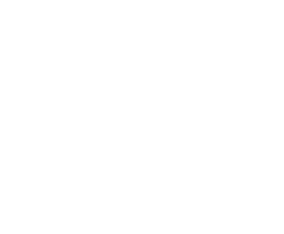 Book Writing Experts